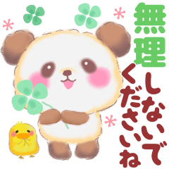 優しいBabyぱんださん