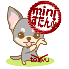 WANKOBIYORI(chihuahua)2