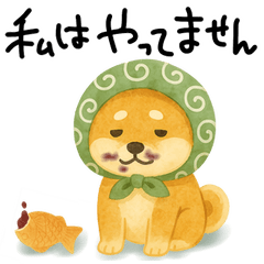 ネガティブ時々がんばる♡豆柴