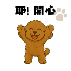 紅貴賓NiNi的日常萌語