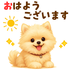 ポメラニアン好きのためのかわいい日常
