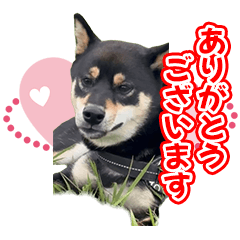 sekiguchi kurosuke's sticker