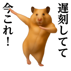 Dance! Now This-Kygian Hamster