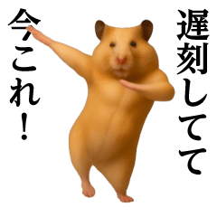 Dance! Now This/Kygian Hamster