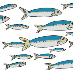 動く海の生き物