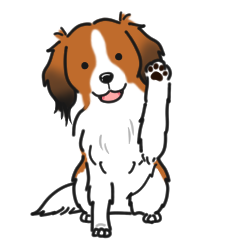 Kooikerhondje Message