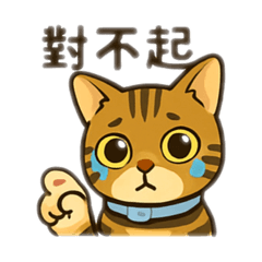 孟加拉「花仔」日常語