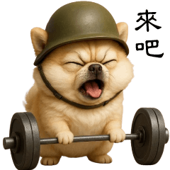 台灣淘氣小狗Si-nual