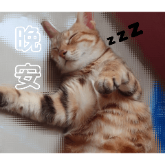 探吉與小黑