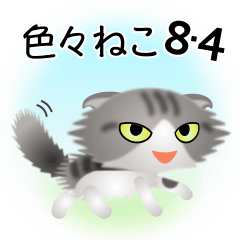 色々な猫8-4 長毛-垂れ耳-サバトラ白