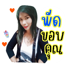 พัดชาพัดชา
