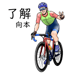 Mukaimoto's realistic bicycle