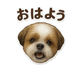 takeshi_20250827205645