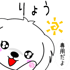 ♦️りょう専用♦️使える名前スタンプ