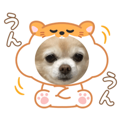 Asuka_20250827192235