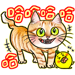 Little Yeyan - Kind Words for Stray Cats