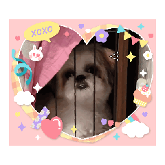 kurumi_20250827165034