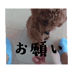 hina_20250827175920