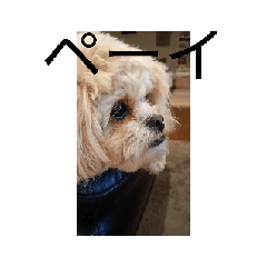 kurumi_20250827165149