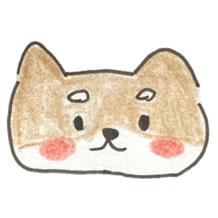 shiba-kainushi