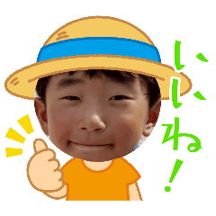 non_20250827131731