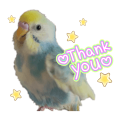 misaki_20250827125920