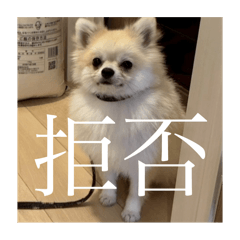 NARUTOkun nonichijoooo