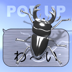 Ookuwagata on the SP (Metal-2)