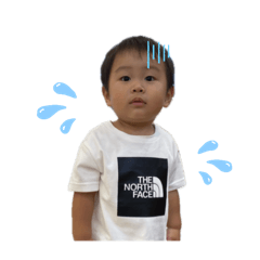 renp_20250827154500