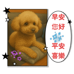 我的寶貝 球