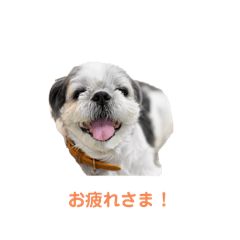 Hiro's stamps LuLu 202508