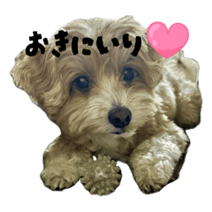 komun_20250827174903