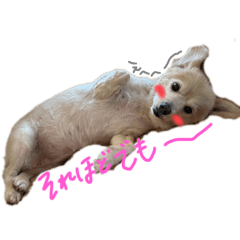 Wakana_20250827195444