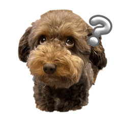 Ethan_20250827173150