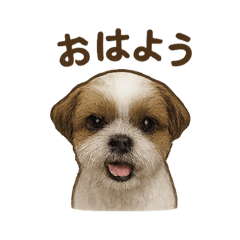 takeshi_20250827203810