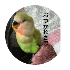 NIIMI_20250827225552