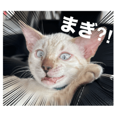 nanami_20250828000116