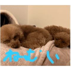 yuto_20250827162546