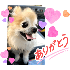 kazumi_20250827222444