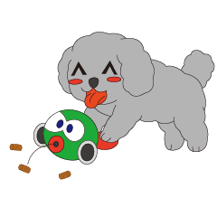 The Smart Poodle