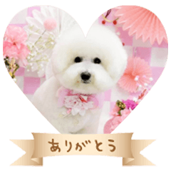 Oto's Sticker@ringonohoppe