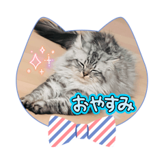 ALICE_20250827234324