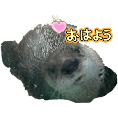 mochi_20250827232902