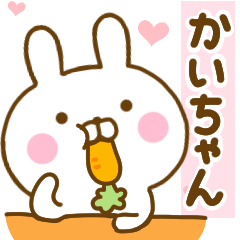 Rabbit Usahina love kaichan 2