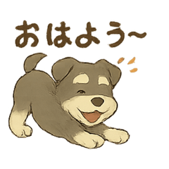 Mini Schnauzer Daily Stickers3