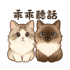 二隻可愛布偶貓的日常用語