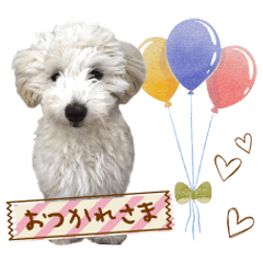 MARU's Sticker@ringonohoppe