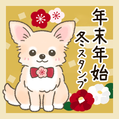 Cute Chihuahua winter message Sticker 2
