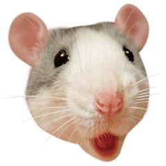 ushi&jagaimo sticker 01