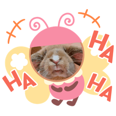 豆寶來啦